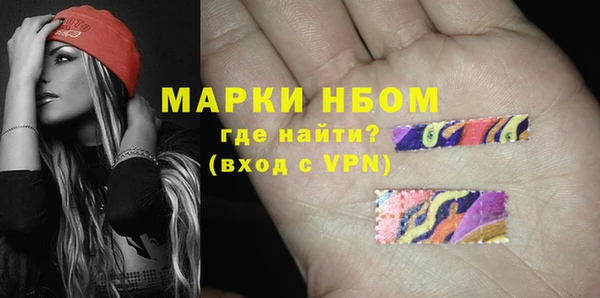 молекула духа Арсеньев