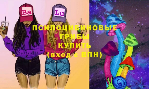 молекула духа Арсеньев