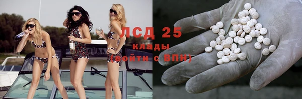 spice Аркадак