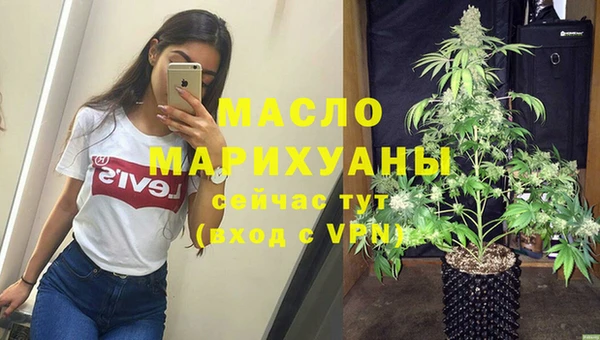 молекула духа Арсеньев