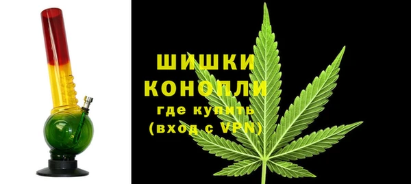 spice Аркадак