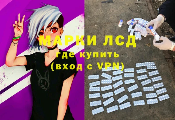 молекула духа Арсеньев