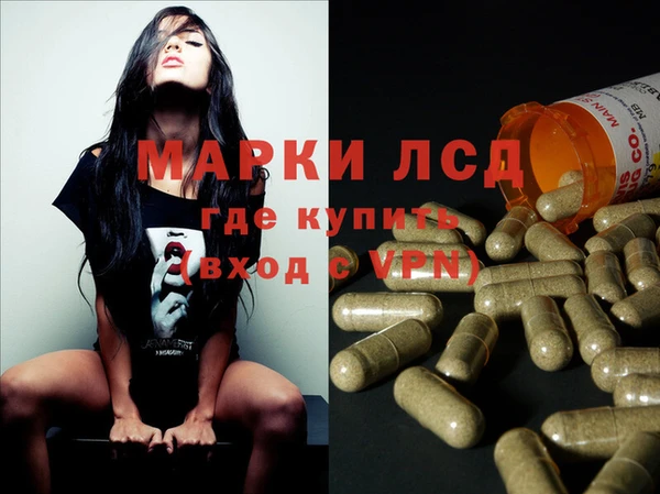 spice Аркадак