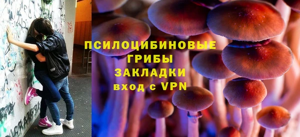 молекула духа Арсеньев