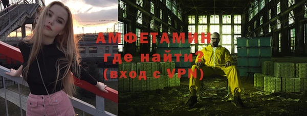 молекула духа Арсеньев