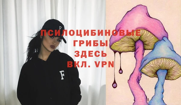 spice Аркадак
